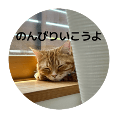 Do your best!_20260426201814