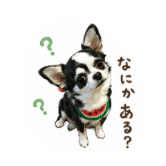 baron_20260426202031