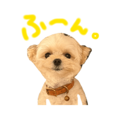 supponchannel_20260426222928