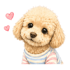 himawari_20260426223400