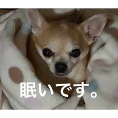 Hatano_20260426185000