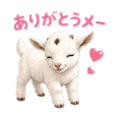 Cutest goat