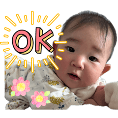 nandina_20260420170919