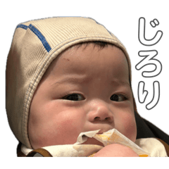 shiromame_20260426184215