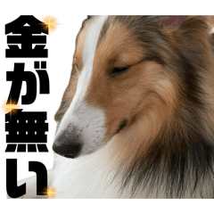 tanaka gateau chocolat_20260426184848