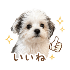 mayubabee_20260426233854