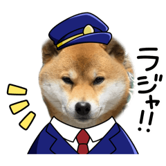 renini_20260426233403