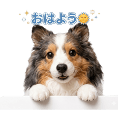 Mocha&Marche_20260426234020