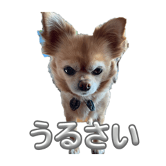 takagikenohime_20260426184221