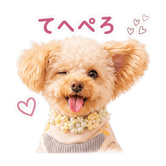 ryouta1980_20260426233747