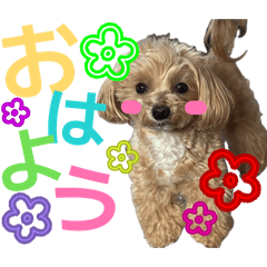 Akane_20260426234456