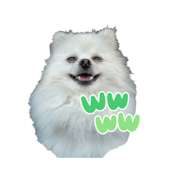 codino_20260426234416