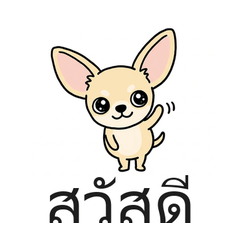 Heta-Kawa Chihuahua_Thai