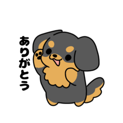 tiger_20260425151756