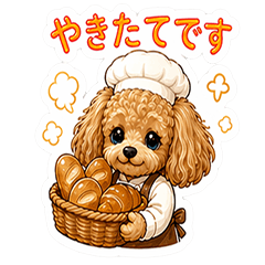 Toy Poodle Bakery