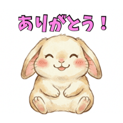 Hiring_20260425152315