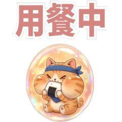 圓滾滾泡泡】忍者虎斑貓 3