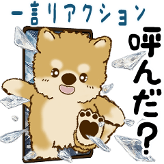 Moving Shiba-inu  (One word reaction)