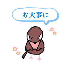 Kukku_20260426205024