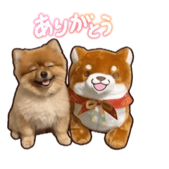 fuga_1209_20260426205938