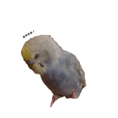 natsuki_20260427004129