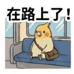 相約等待必備！永遠實用