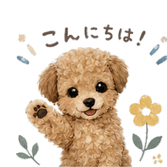 Nordic Style Toy Poodle