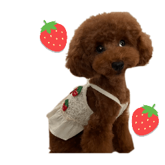 ichinoserara_20260426190918