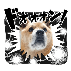 takku_20260426191004