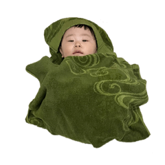 genicotton_20260427012305