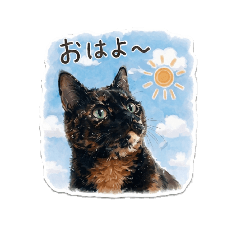 tortiecattsukushi_20260427014233