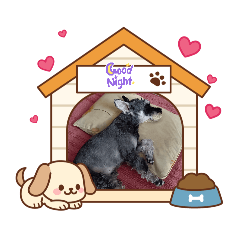 iitian_20260420230831