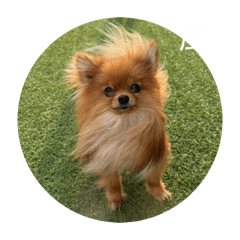 Nakachan_20260427142930