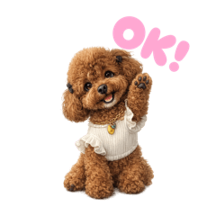 piropiro_20260426200310