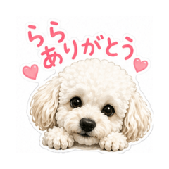 Rara sanpo_20260426201046