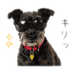 shuna_20260426200234