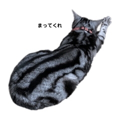 emile_20260426201235