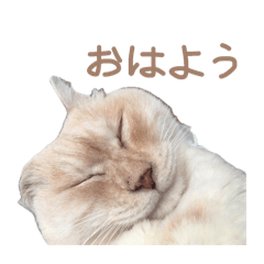 Egg bolo person_20260426200234