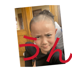 noooa_20260426200946