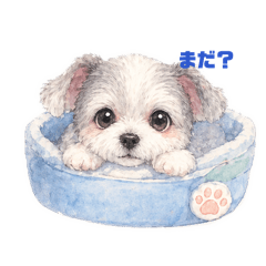 chibisato._20260426214810