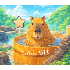 island_20260427071853