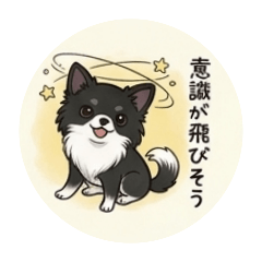 shunachiwa_20260426220127