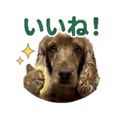 Furea - Daily Chat Stickers 2