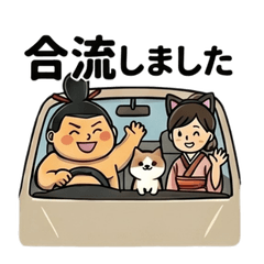 Sumo Driver: On the Move!