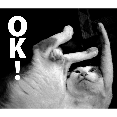 tak1000_20260425181016