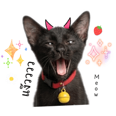 Mamiew Nutnapang_20260426212513