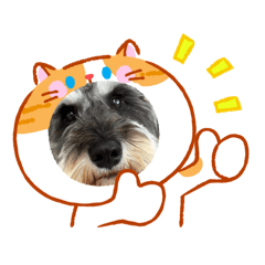 MIZUKI_20260427113906