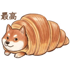 柴犬の癒やし七変化な日常