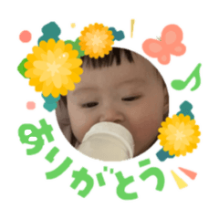 HOTARU_20260426203145