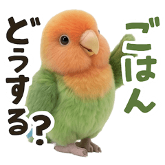 Lovebirds for Family Messages